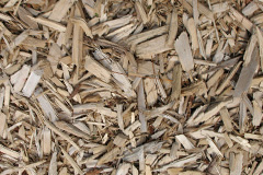 biomass boilers Llanrhyddlad